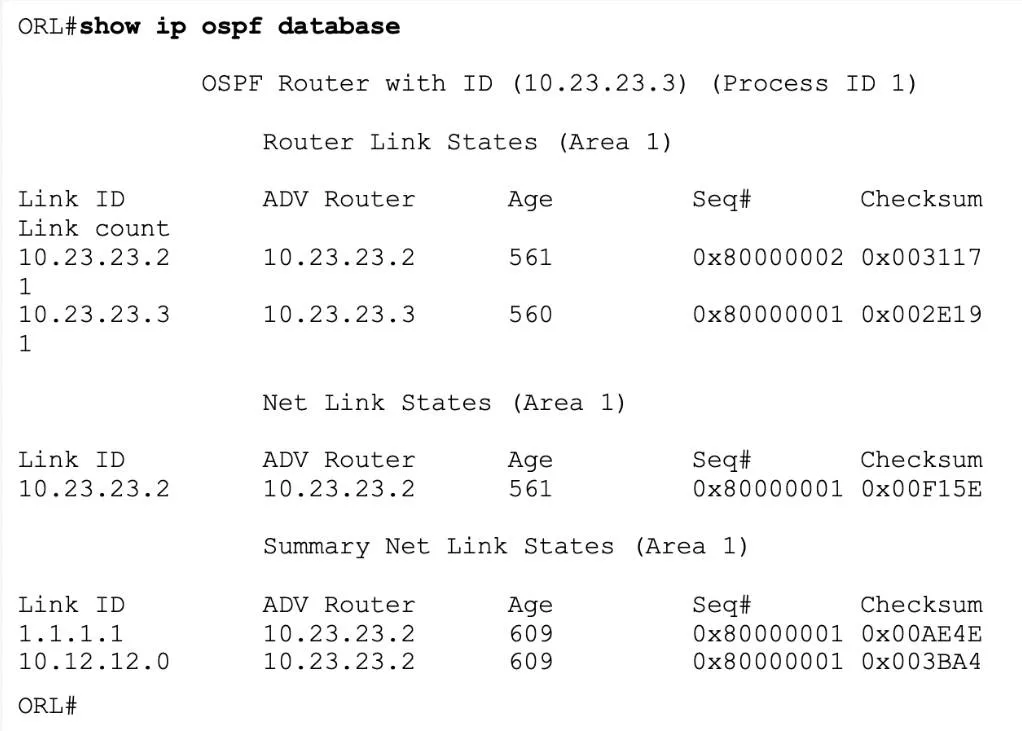 ospf206.jpeg