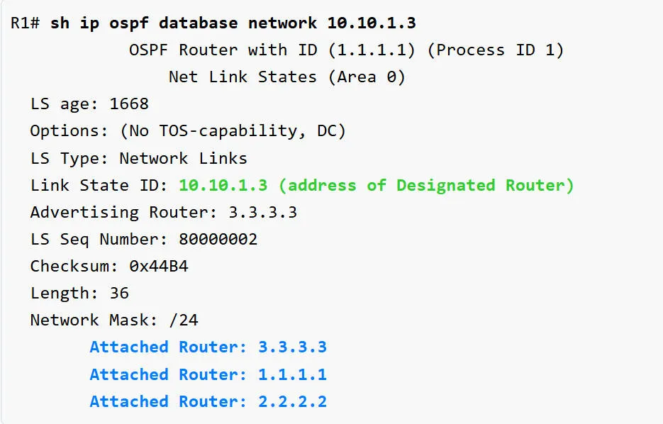 ospf303.jpeg