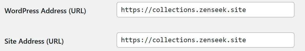 wp_home_url.jpg