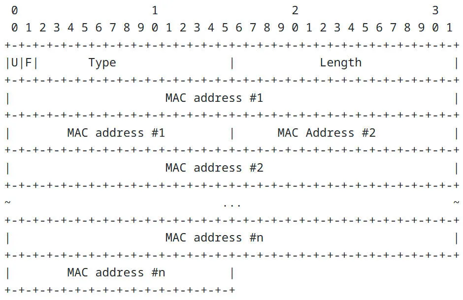 l2vpn203.jpeg