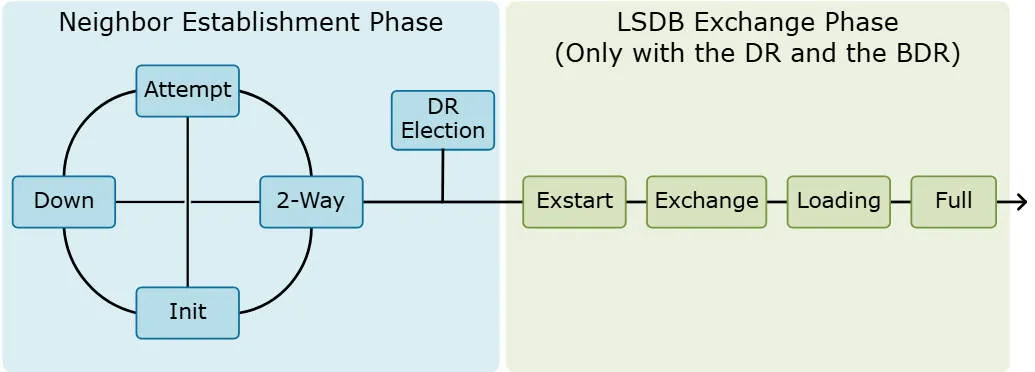 ospf218.jpeg