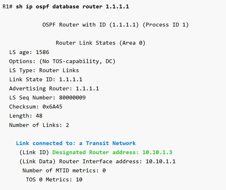 ospf302.jpeg