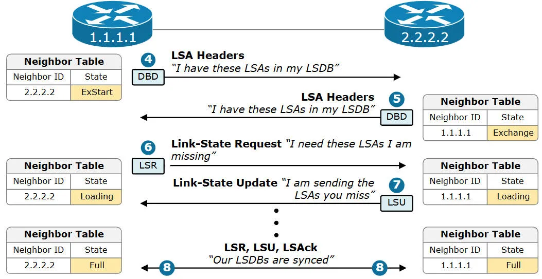 ospf215.jpeg