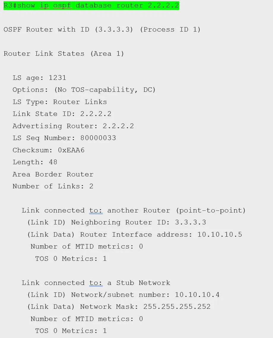 ospf202.jpeg