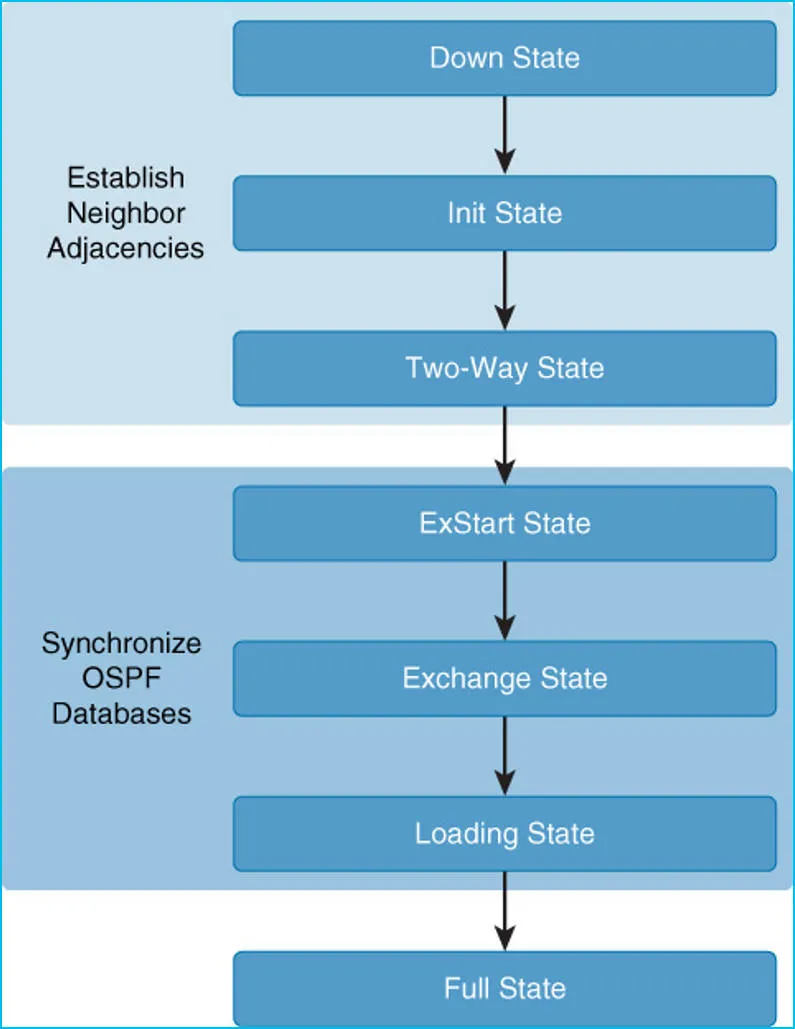 ospf213.jpeg