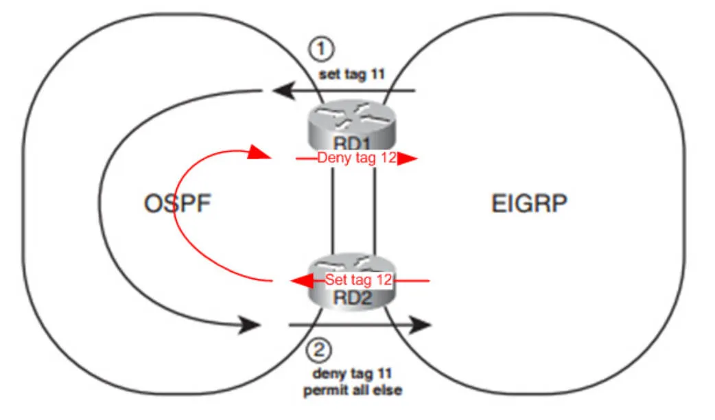 ospf306.jpeg