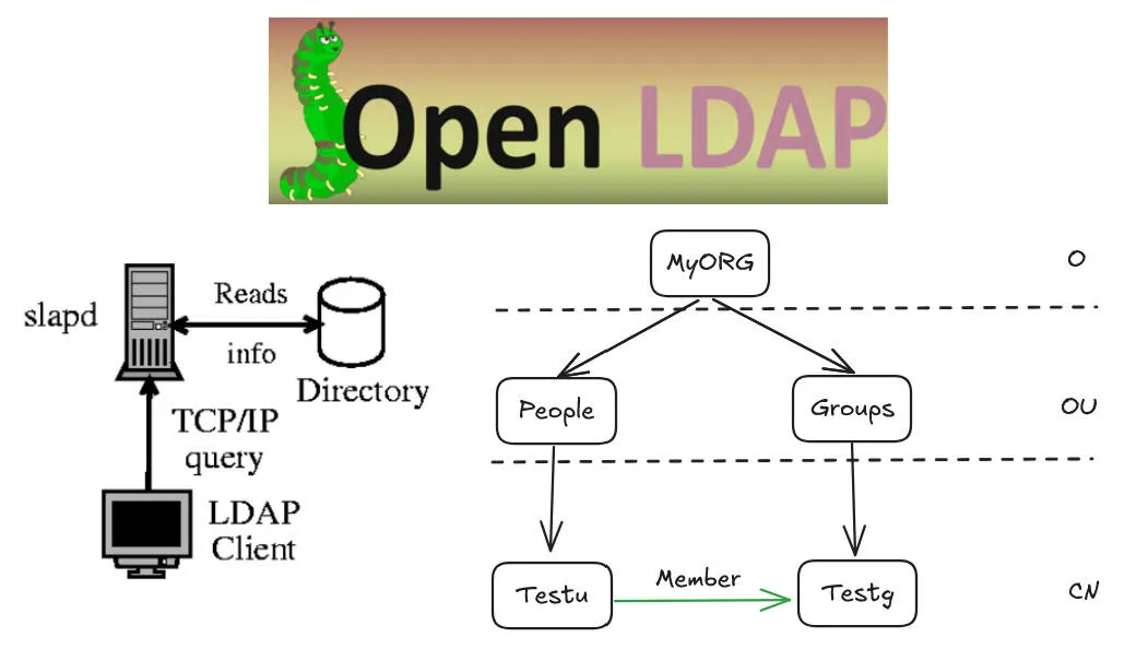 openldapcli.jpg