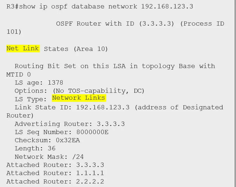 ospf204.jpeg